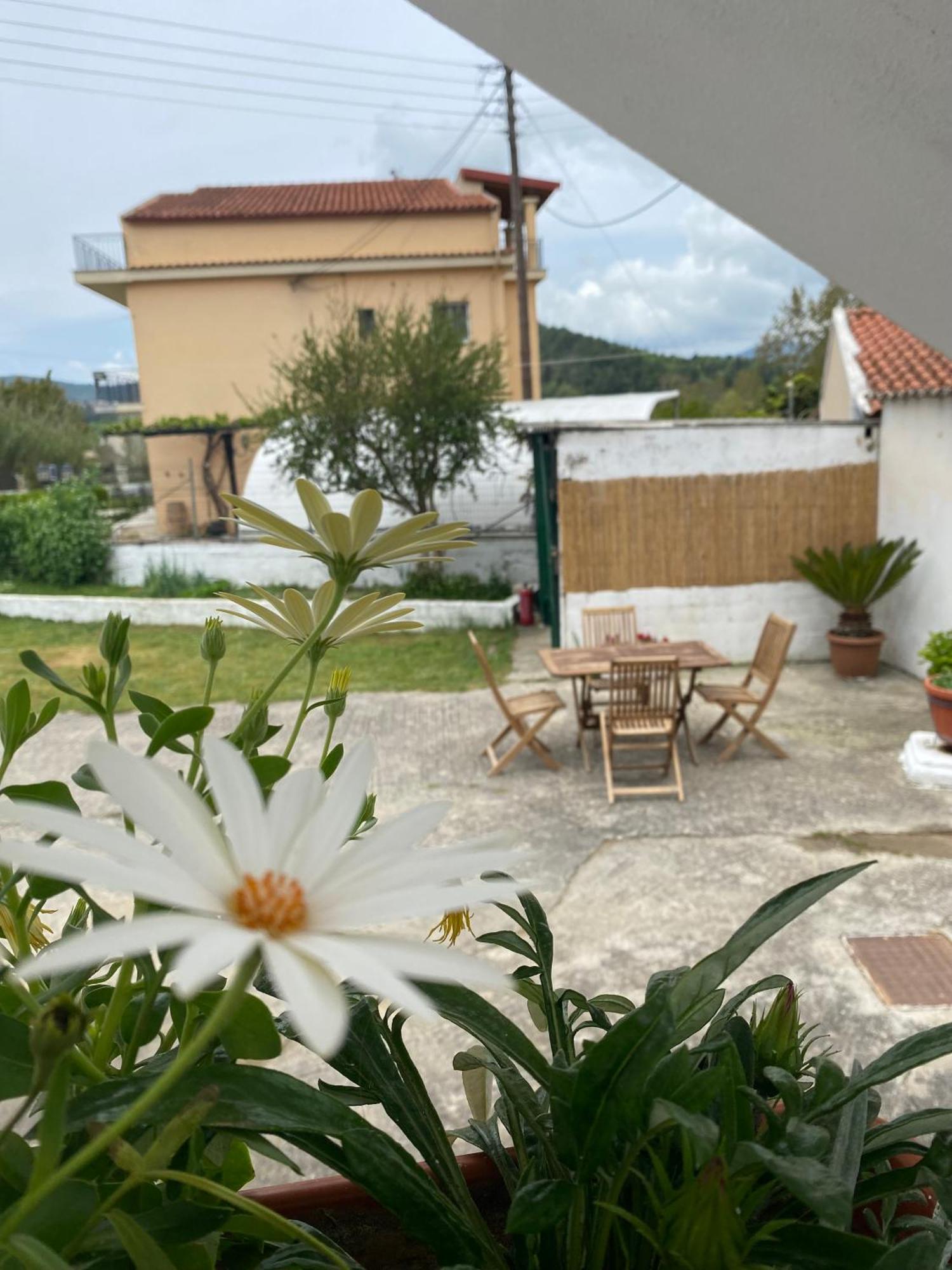Navy Apartment With Mountain View &Private Parking Vátos Dış mekan fotoğraf
